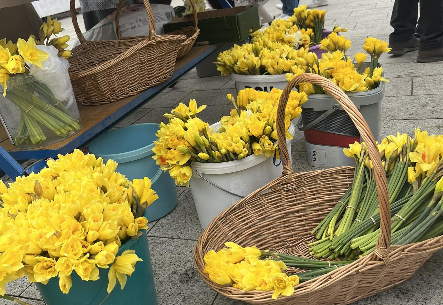 dan_narcisa_čakovec (4)