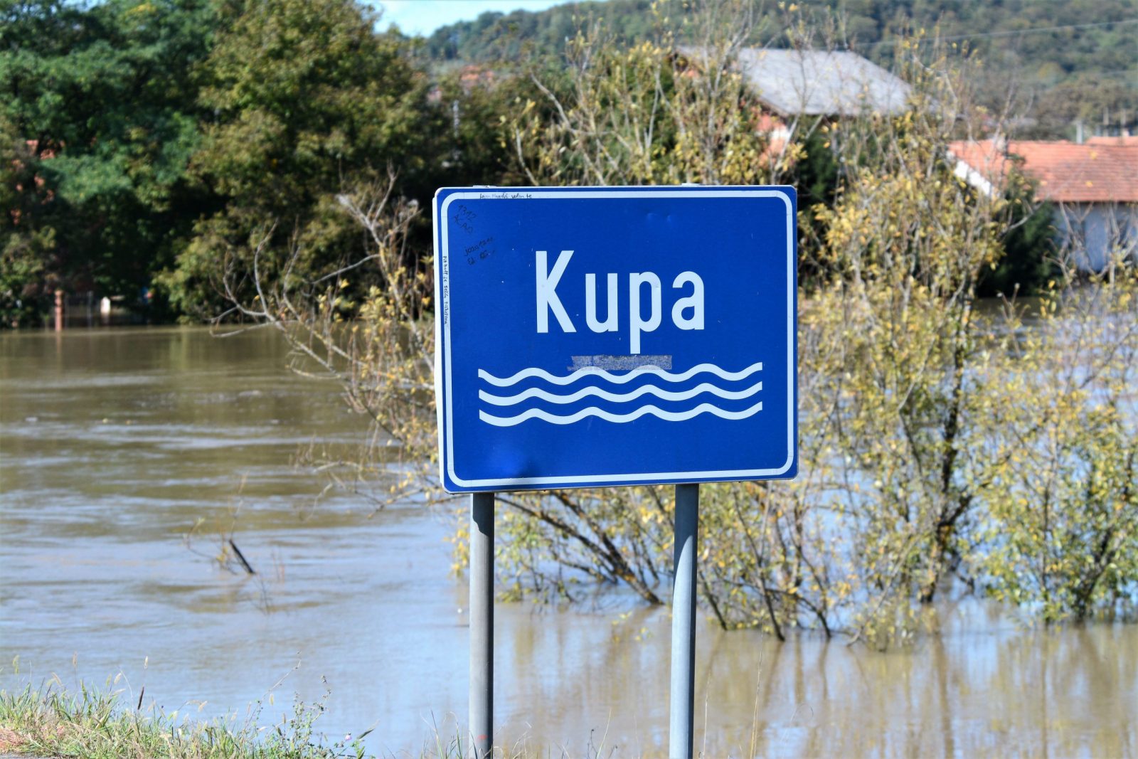 kupa