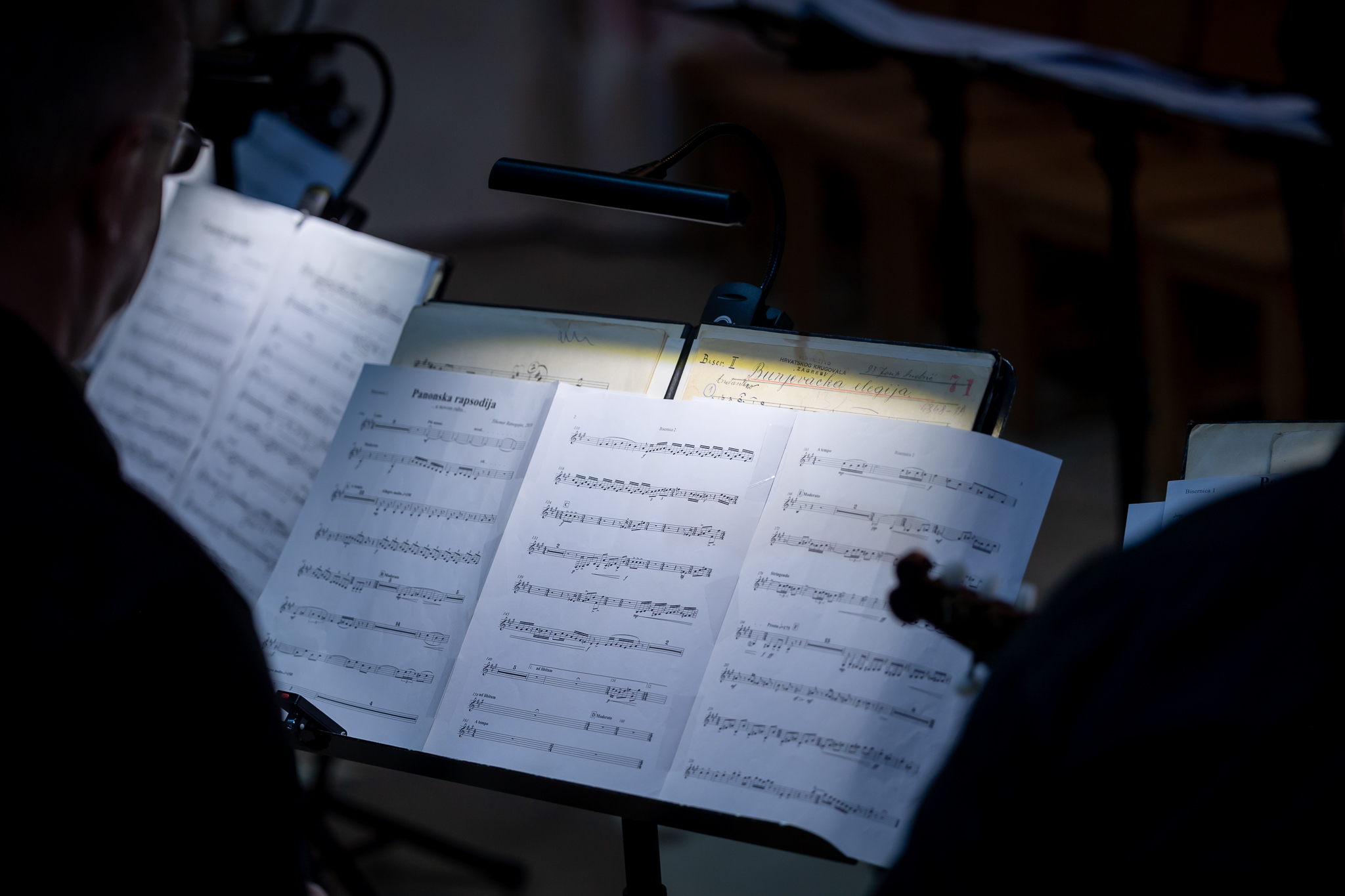 15. Umjetnička kolonija Štrigova (4)