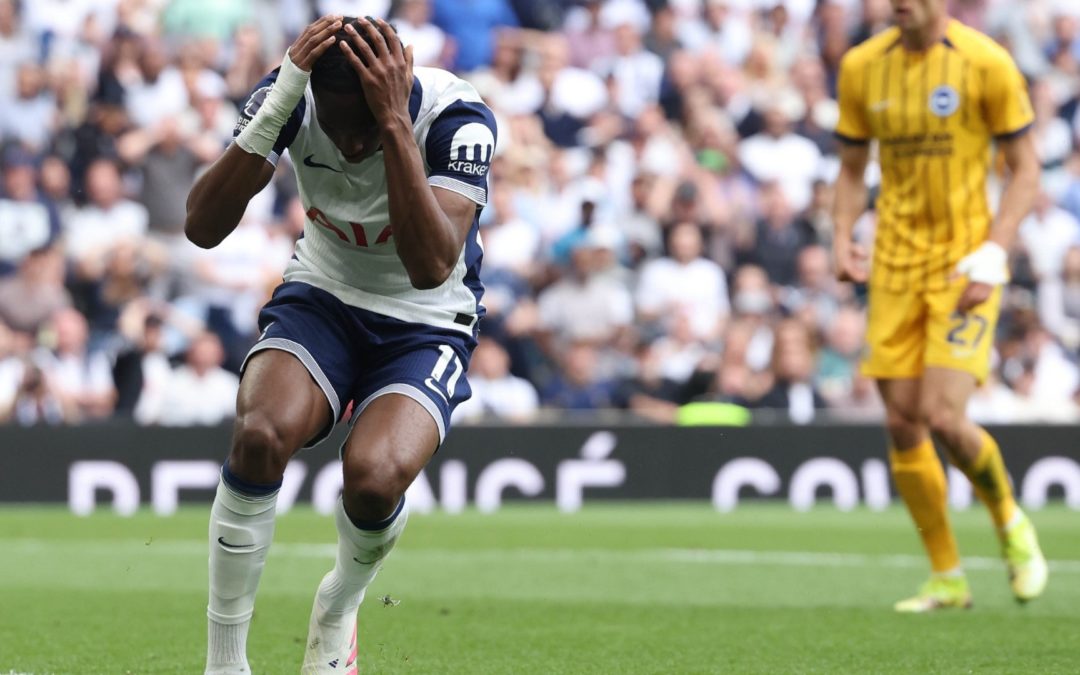 Tel ostaje u Tottenhamu