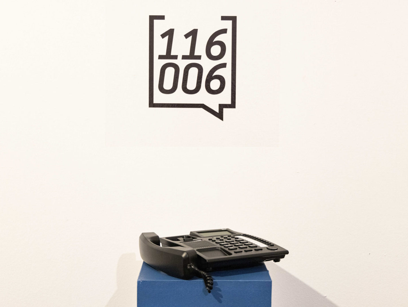 npc_vizual_optimized