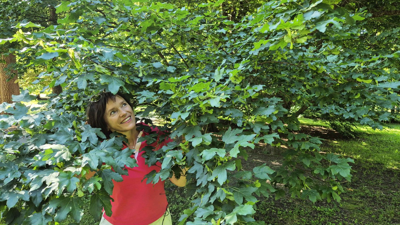 Dunja Bubek (2)