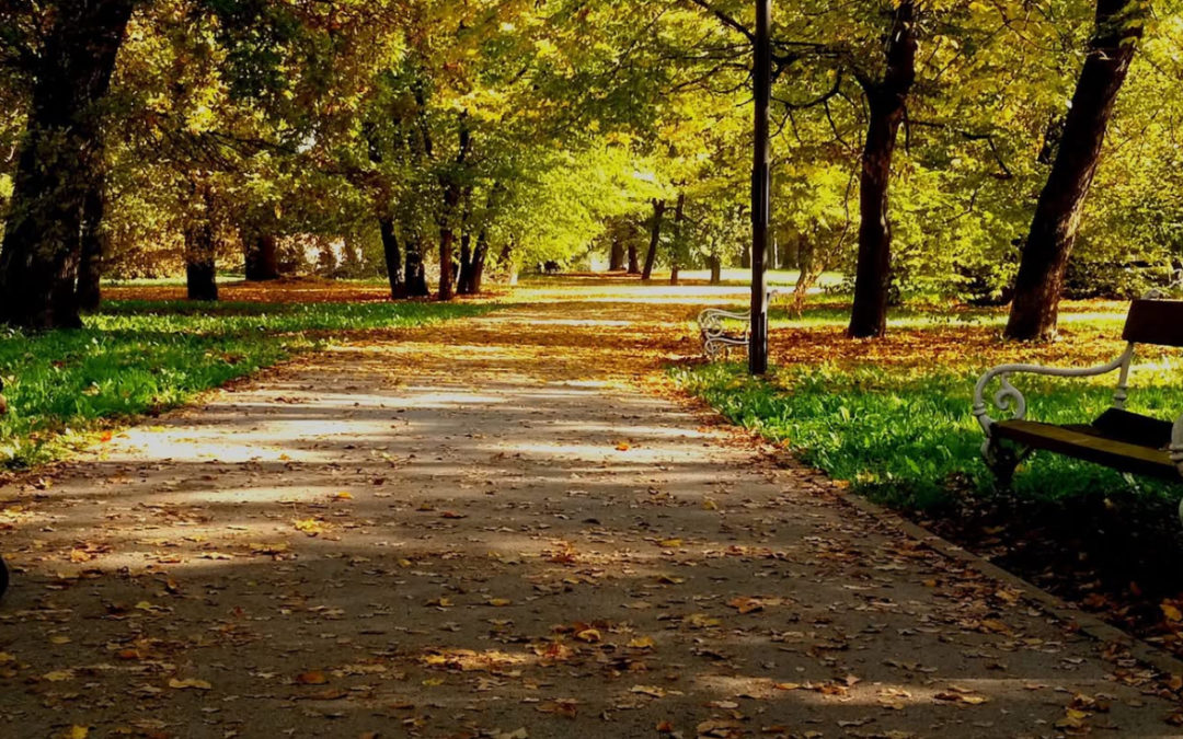 Jesenska ravnodnevica: Vrijeme promjena i pripreme za zimu