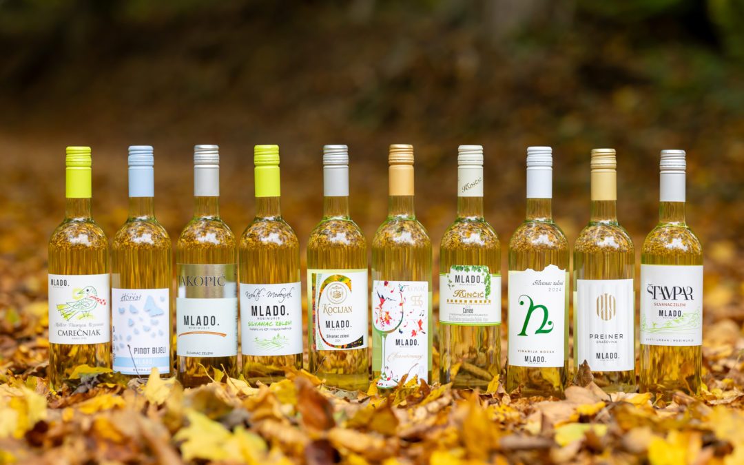 Martinje u Domu kulture Štrigova: Neograničeno kušanje mladih vina u Štrigovi