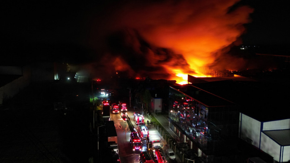 373249_profimedia-1052509083_s