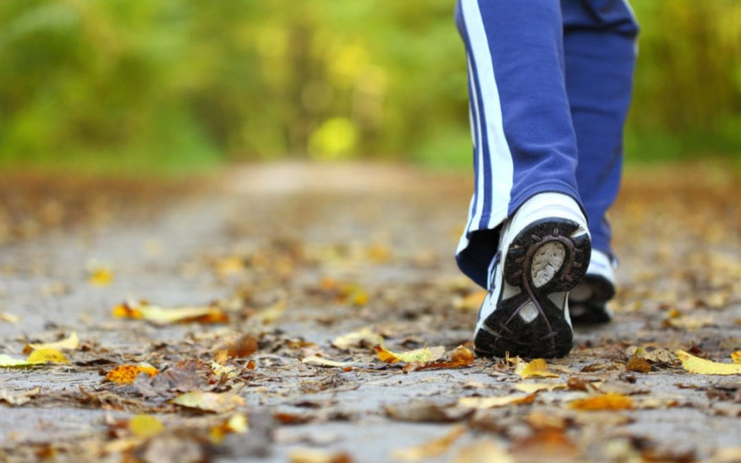 Istraživanje pokazalo da je dulja šetnja bolja od više kratkih