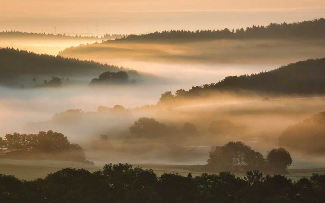 DHMZ: Magla i rosulja, popodne moguća sunčana razdoblja
