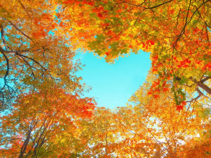 DHMZ: Oblačno, u Lici kiša, a lokalno moguć snijeg