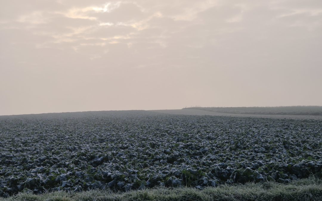 ZIMSKI SOLSTICIJ 2025.: Danas službeno počinje najhladnije godišnje doba