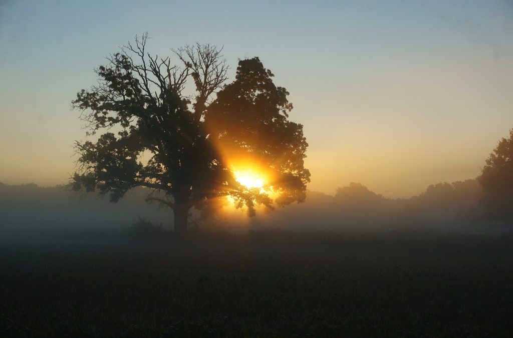 Vremenska prognoza za nedjelju: Maglovito i sivo u unutrašnjosti