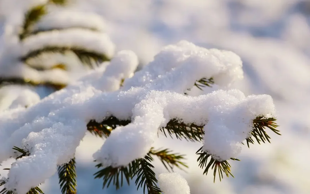 DHMZ: Porast naoblake