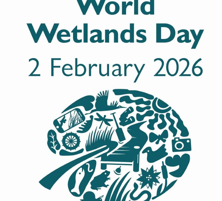 Međimurska priroda poziva na rekreaciju: Upoznajte kulturnu baštinu i poplavne zone uz zajedničku šetnju