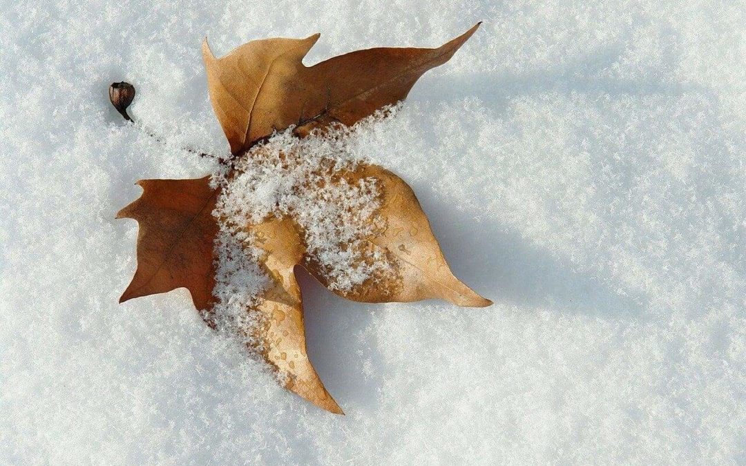 Hrvatska u ledu: U Štrigovi izmjereno ekstremnih -20 stupnjeva, Varaždin na -16,8