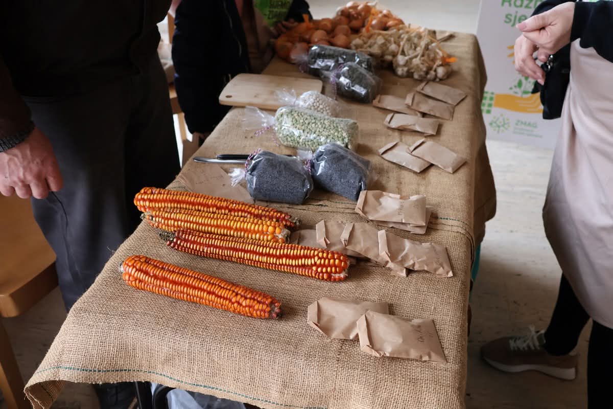 FB_IMG_1771073867279