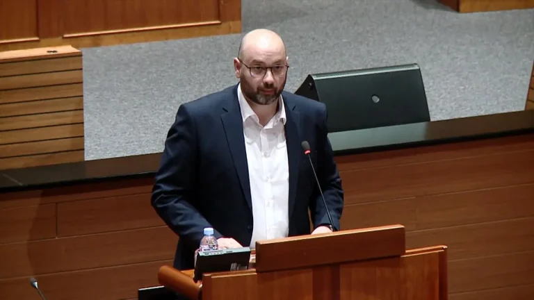 Baksa: Mi u oporbi smo postali profesionalni kritičari i jeftini populisti