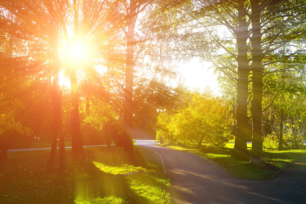 4711656_20191012171052_6959e5b814ca85083dbf268de01df74d2bc86f4ffacd7698bff33abbf1f2ce52_ls