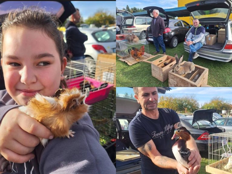 Mala stvorenja, veliki susret: Ove nedjelje tradicionalna izložba malih životinja u Nedelišću