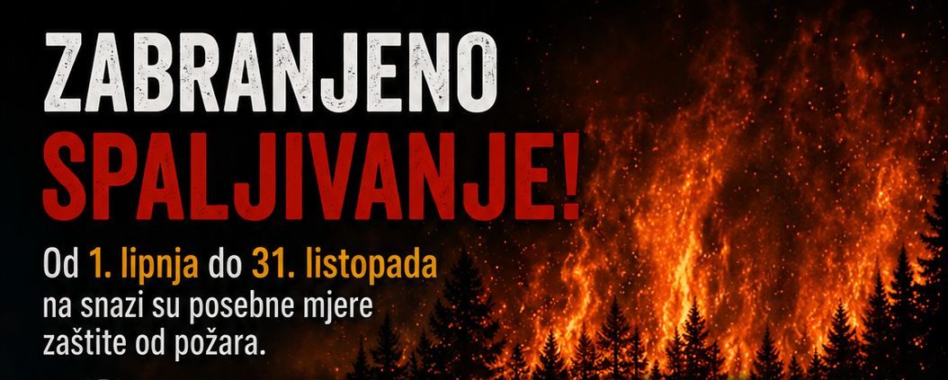 DVD SDELNICA