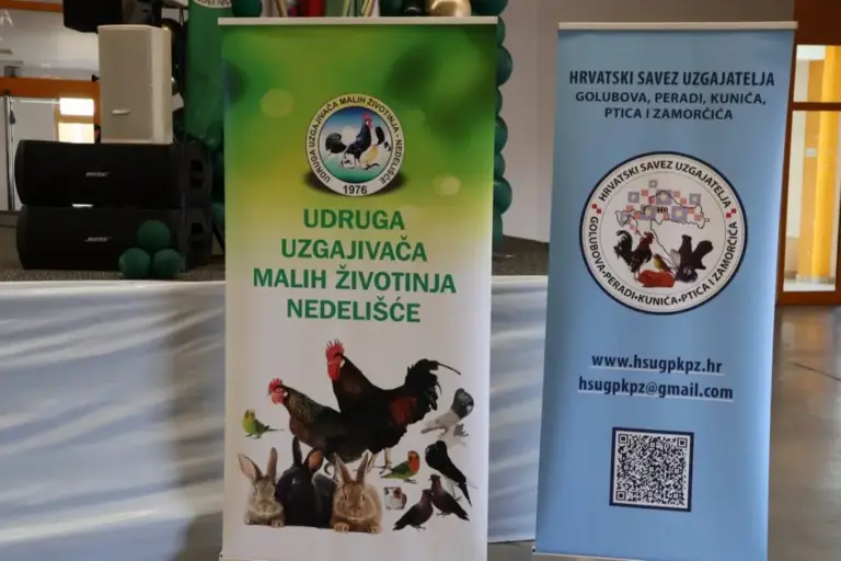 Udruga uzgajivača malih životinja Nedelišće svečano obilježila 50 godina uspješnog djelovanja