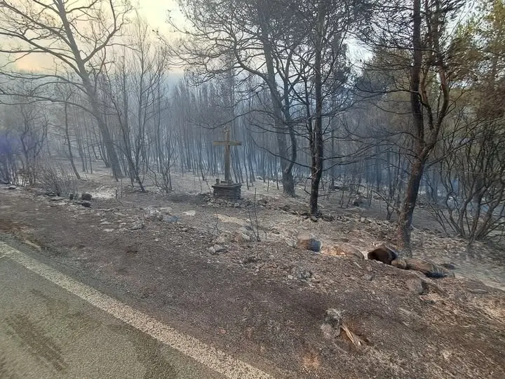 Požar na Korčuli pod kontrolom: 220 vatrogasaca i kanaderi obranili kuće između Blata i Smokvice