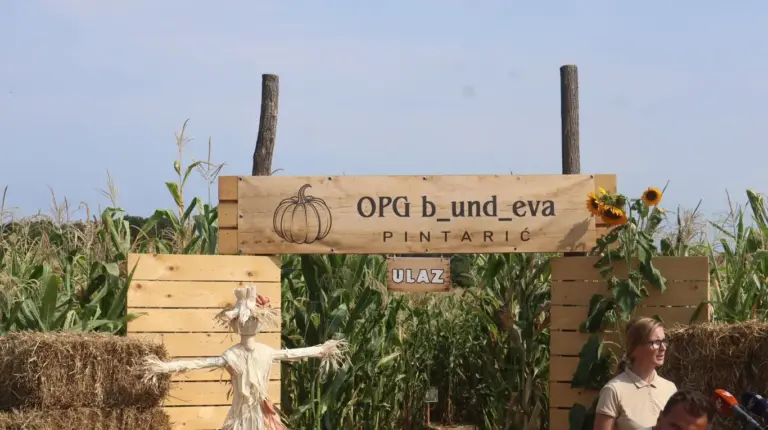 Nova ljetna atrakcija u Svetom Martinu na Muri: Službeno otvoren Međimurski kuruzni labirint
