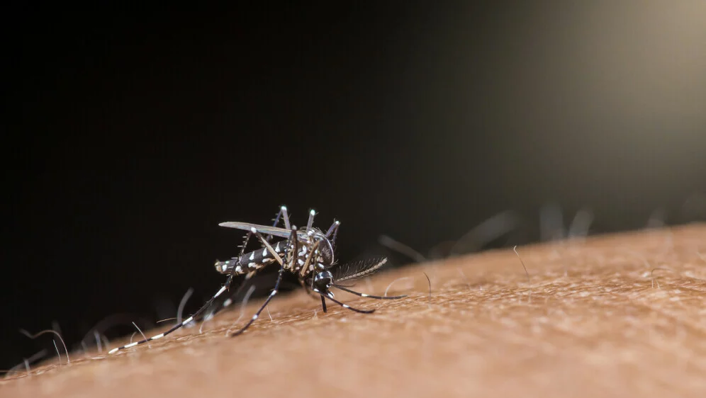 Virus Zapadnog Nila