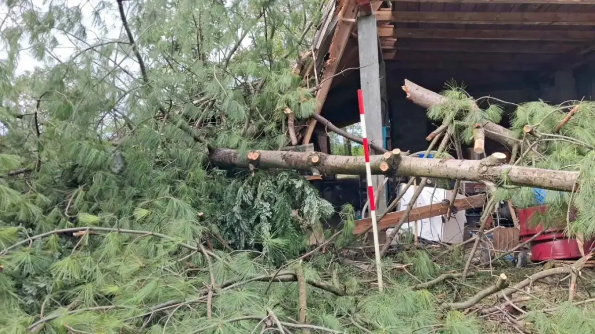 DVD Selnica uklanjao srušena stabla s prometnica u Zebancu i Bukovcu