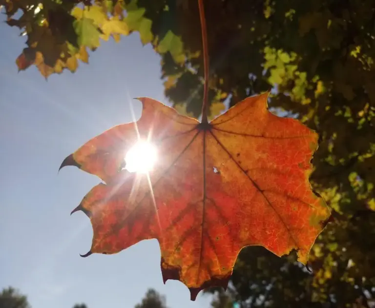 Službeno je stigla jesen! Noćas je nastupila jesenska ravnodnevnica