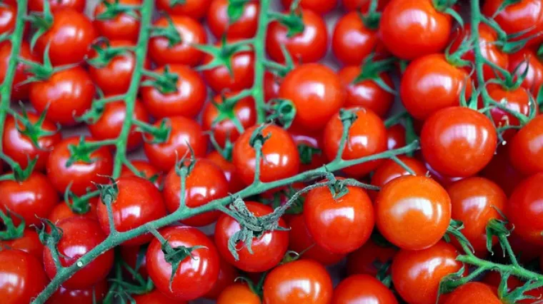 Cherry rajčice