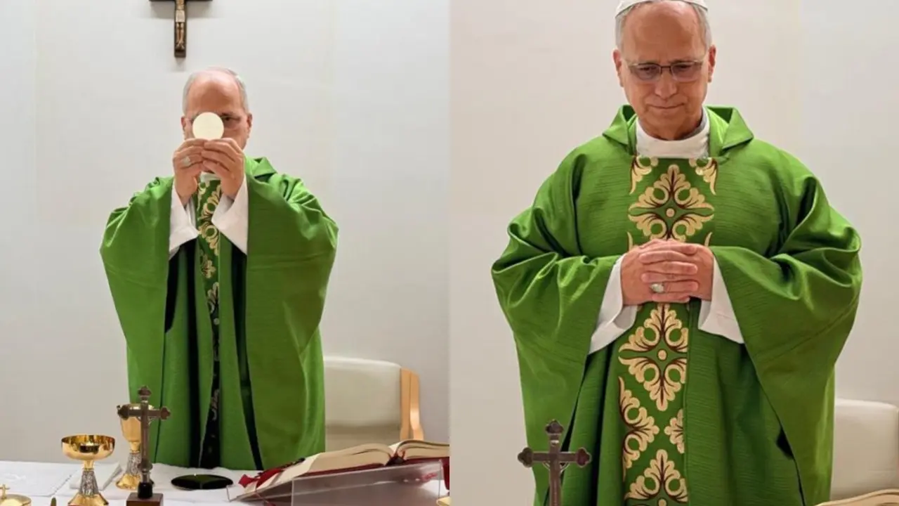 PapaLav