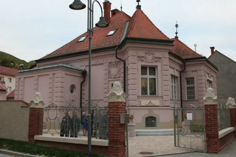 Svečano otvorena obnovljena Knjižnica Lendava i novi odjel za mlade: Investicija u znanje, kulturu i dvojezičnu budućnost